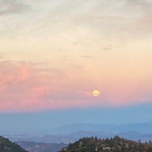 Meet your Posher, Annie